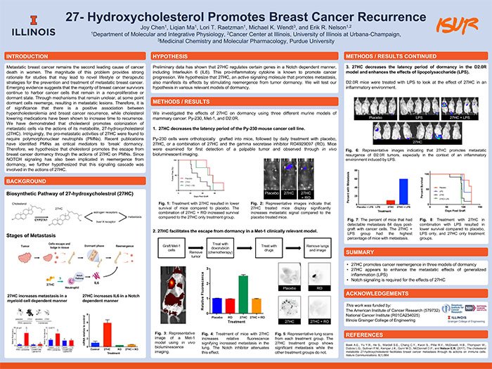 Joy Chen's poster about her cancer research.